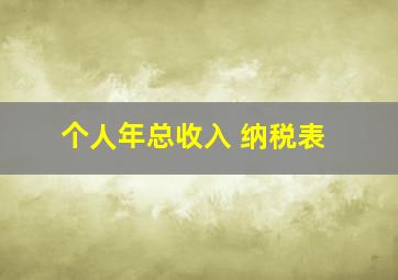 个人年总收入 纳税表